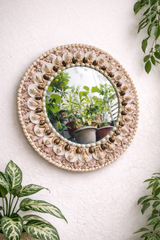 Round Natural Seashell Wall Mirror - view 1