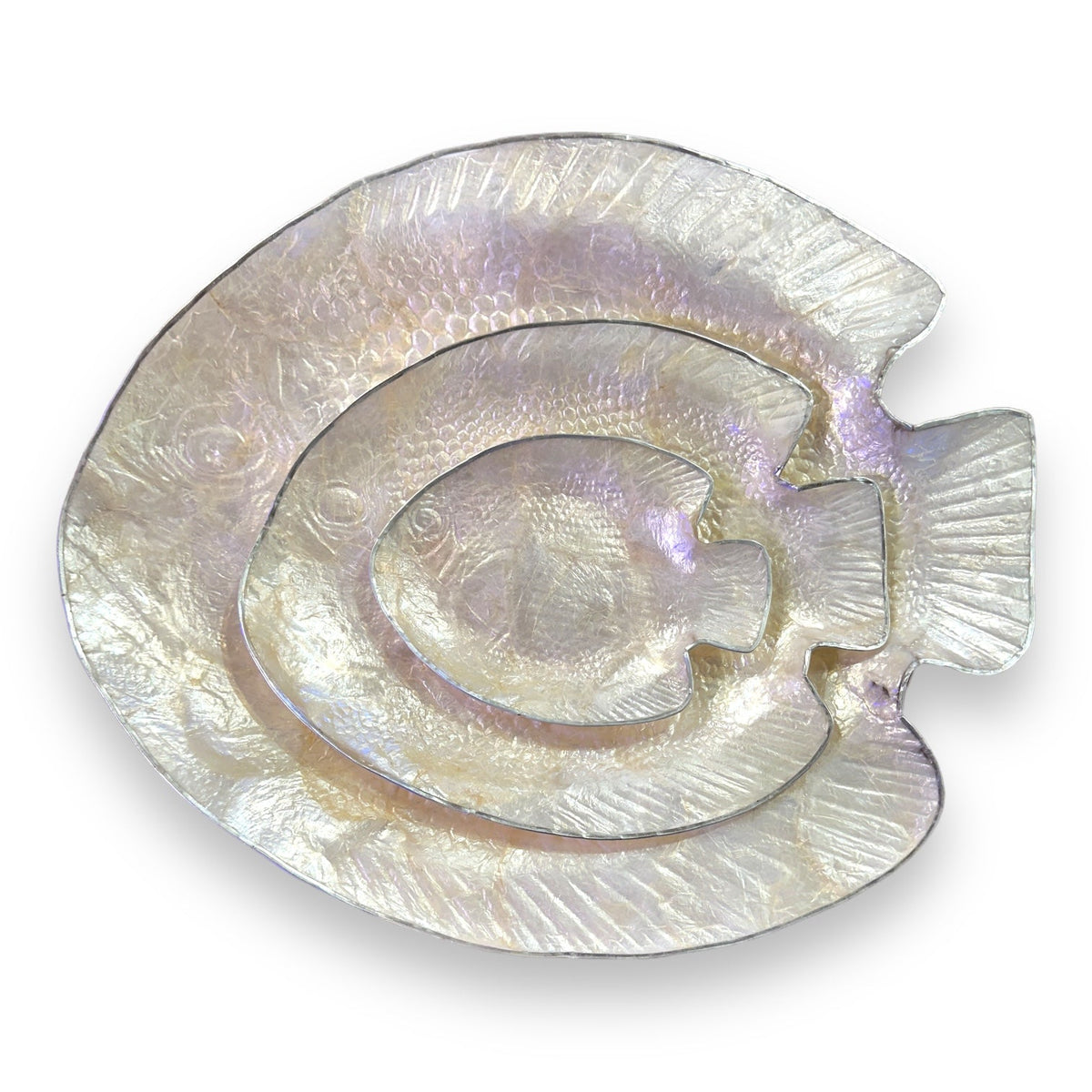 White Shell Fish Display Dish - view 1