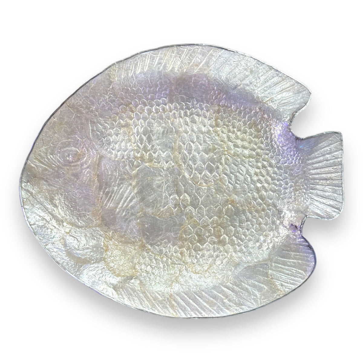 White Shell Fish Display Dish - view 2