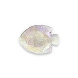 White Shell Fish Display Dish - view 4