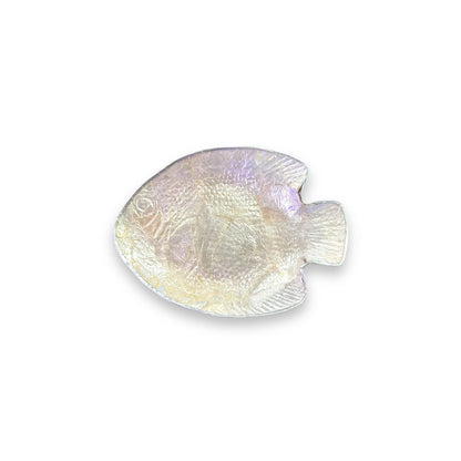 White Shell Fish Display Dish - view 4