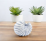 Blue and White Spiral Shell Bud Vase - view 1
