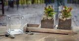 Three Glass Display Vessels on a Wooden Base - view 1