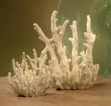 Tall White Branching Coral Sculpture - view 1